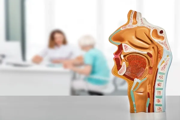 Orta kulakta sıvı birikmesinin belirtileri nelerdir?